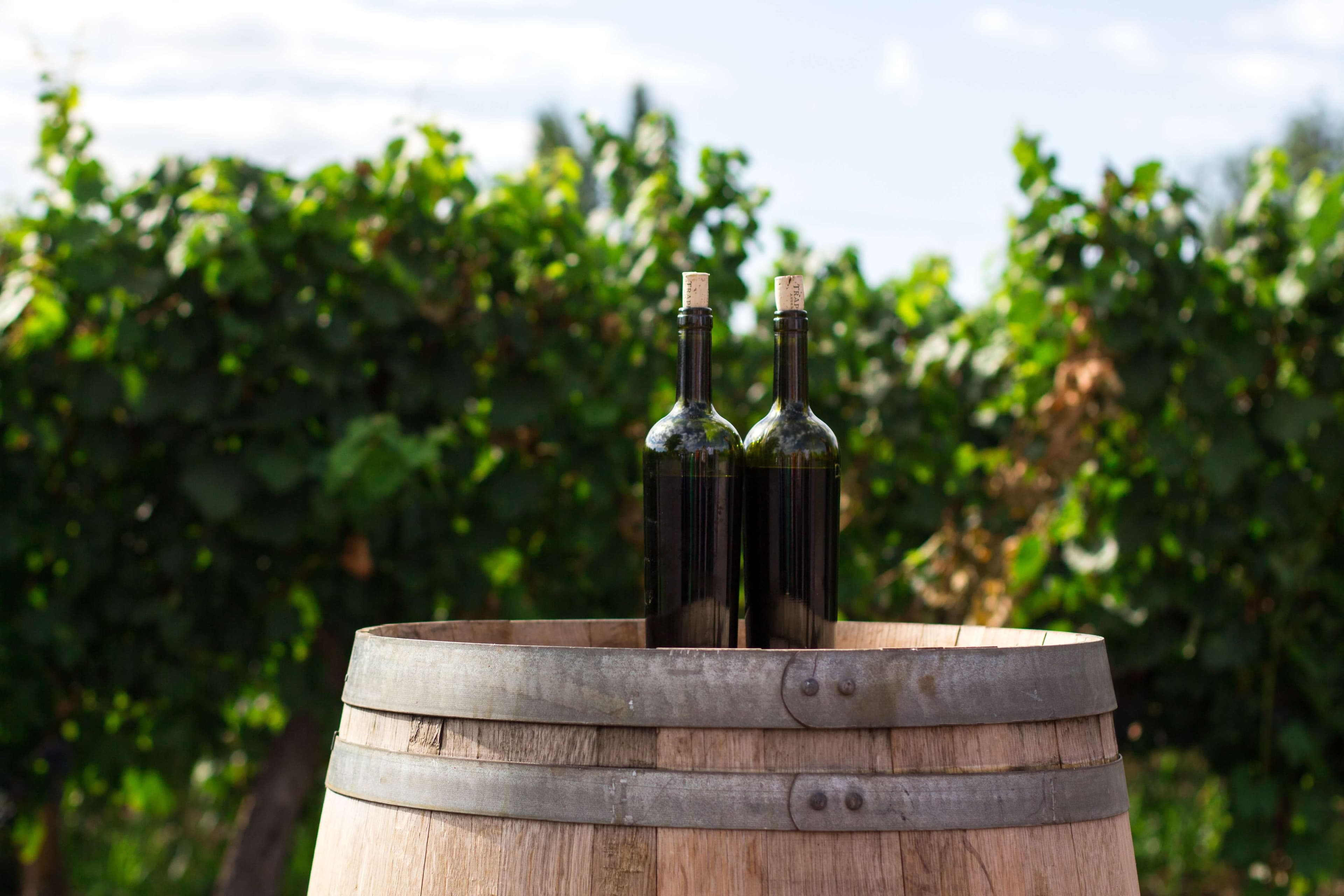 E. & J. GALLO WINERY v. Chemistry Spirits, LLC