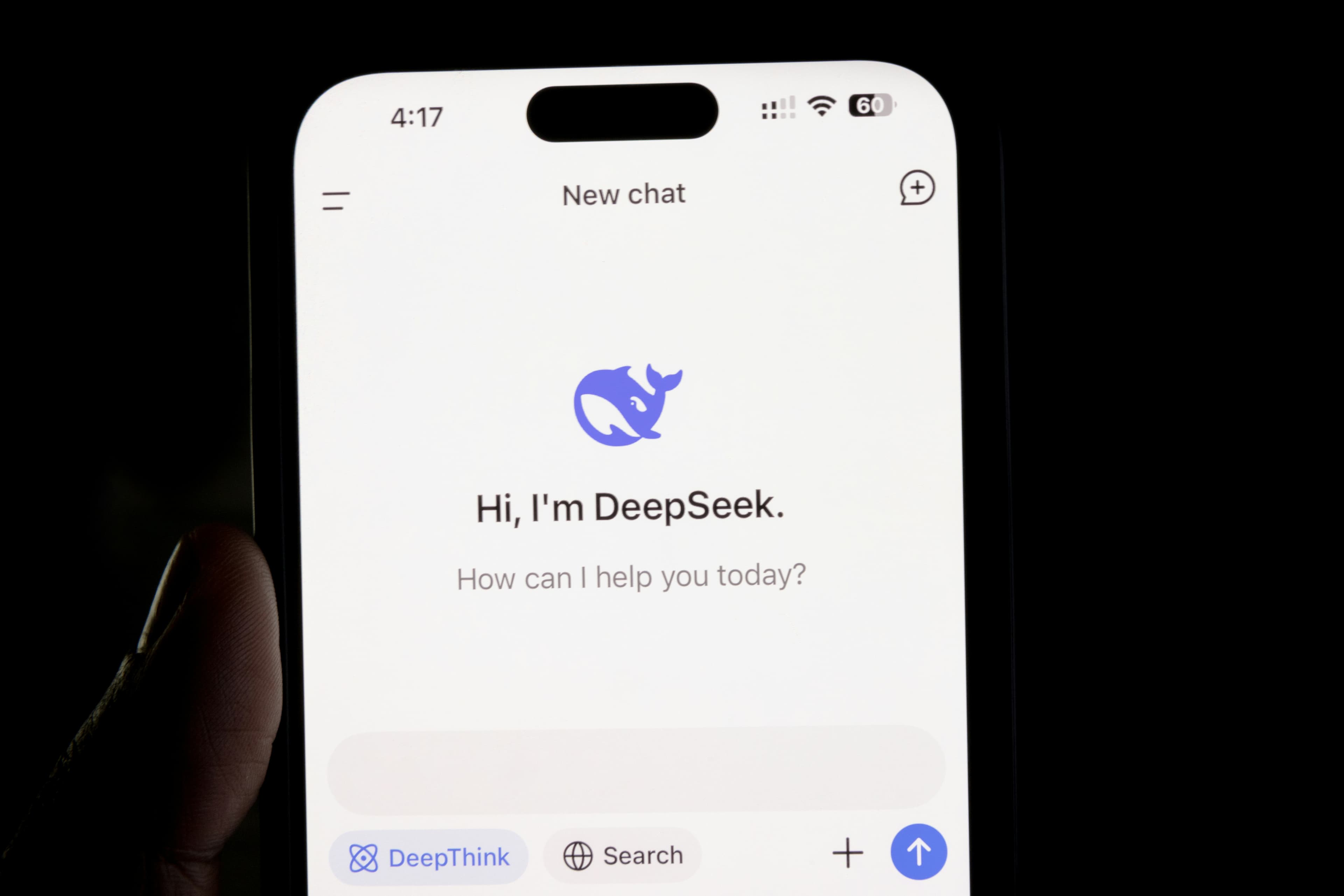 DeepSeek article